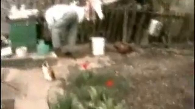 Рыбалка на Викторовке.