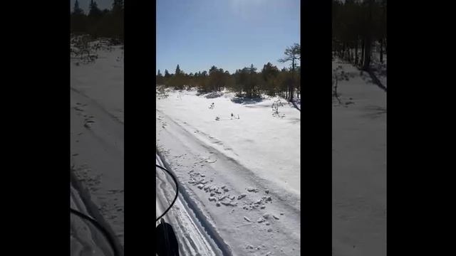 VID-20250328-WA0000.mp4