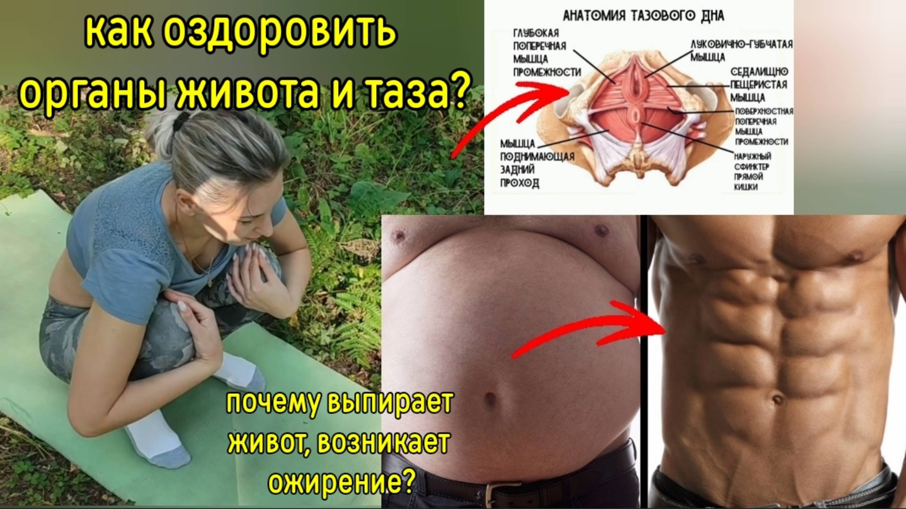 Половые органы и кишечник деградируют от слабости седалищно-пещеристой, поперечной мышц. Упражнения