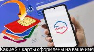 Сервис по проверки Сим-карт на Госуслугах | Какие SIM карты оформлены на ваше имя