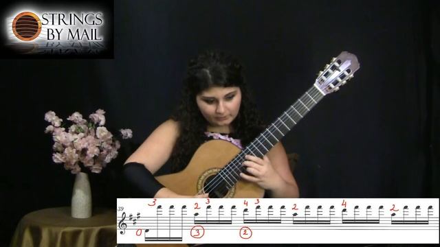 Video 16: The Wind of Sabarmati by Philippe Loli