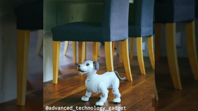 Sony’s Aibo Robot Dog