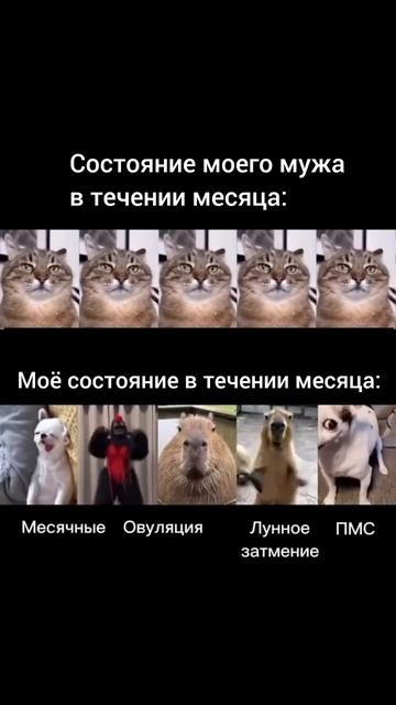 1000021315.mp4
