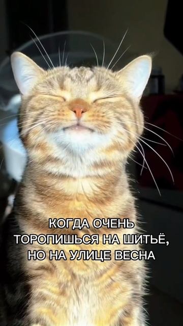 Весна вдохновляет ☀️