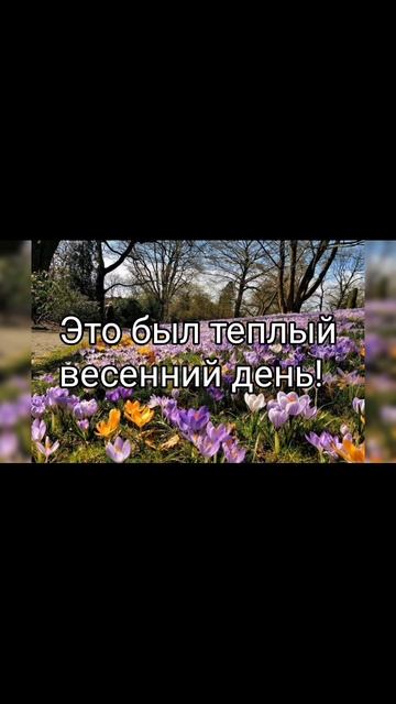 Pisatel - Ручейки