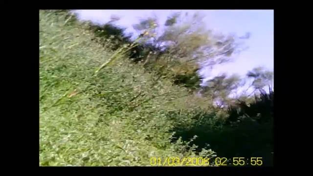 prueba minicamara MD 80 Mini Dv