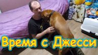 Поломка. Покраска. Болото. Прогулка. Поездка. Ремонт... (04.25г.) Семья Бровченко