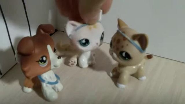 Lps история : Лифт которого нет. 1 часть.
