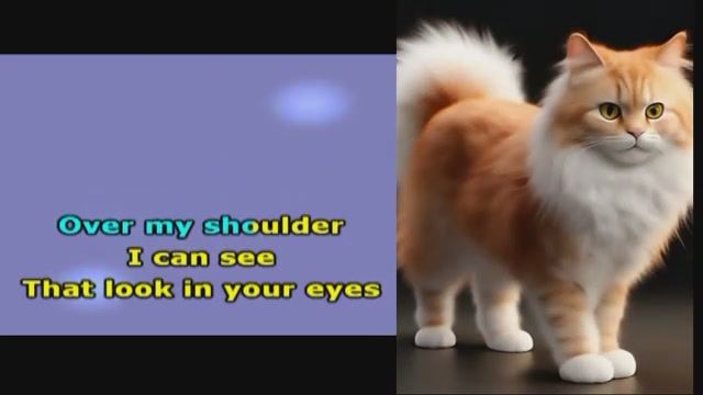 Боря Купчин«Over My Shoulder»-караоке-видео