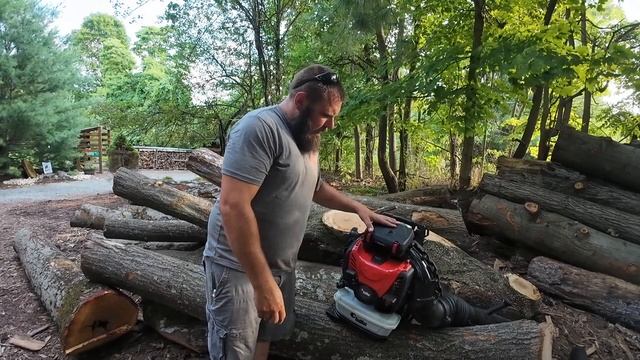 RedMax EBZ9000 Most powerful Backpack Blower on the Market?