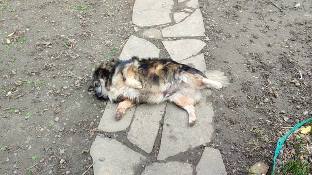 Нахал. Но любимый!