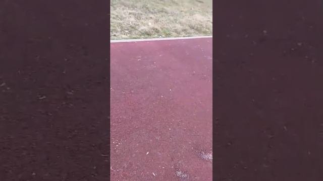 школа