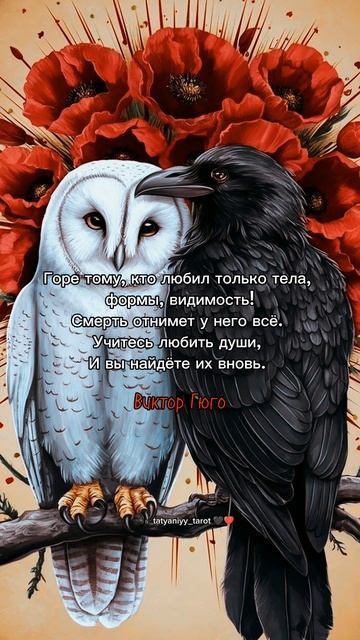 Подписывайтесь на мой тг: tatyaniyy_tarot 🖤✨