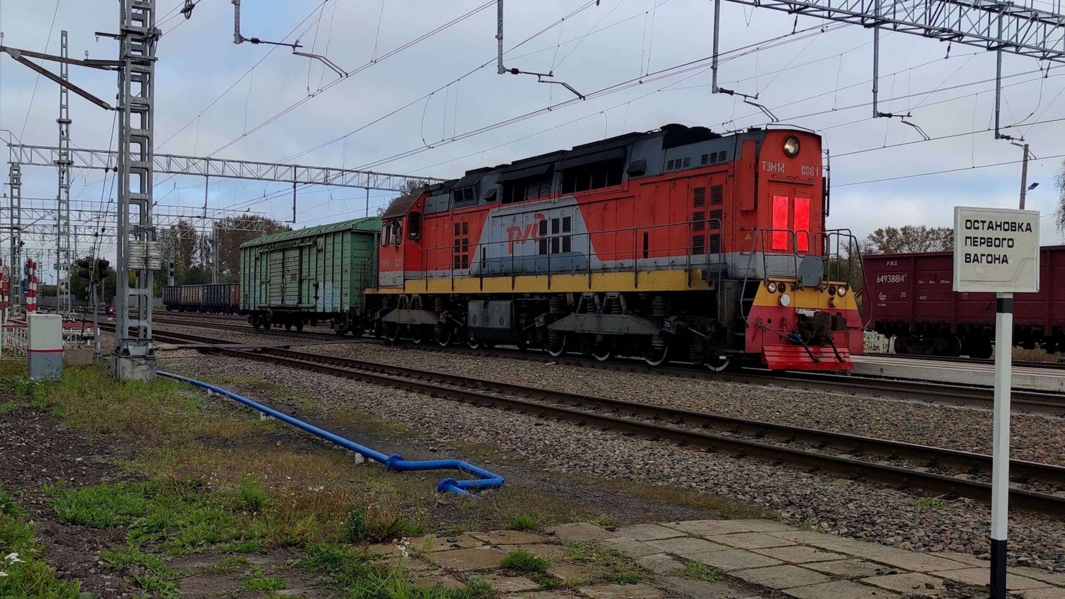 Железная дорога. Тепловоз ТЭМ14-0081.