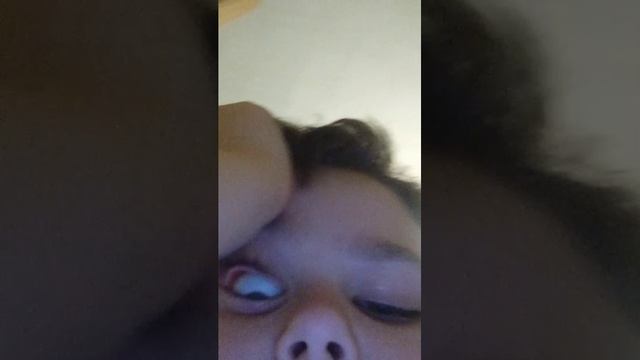 Я потерял черепаху 😭