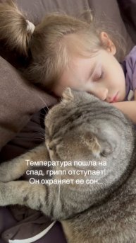 Грипп «А», кризис миновал…