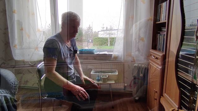 Как мы выращиваем рассаду