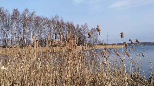 река Грязновка , Рязань с. Гребнево
