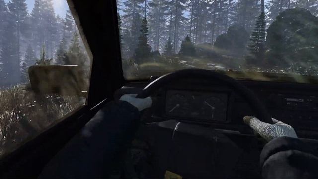 Сквозь тени Апокалипсиса: Начало  Сервер One More DayZ