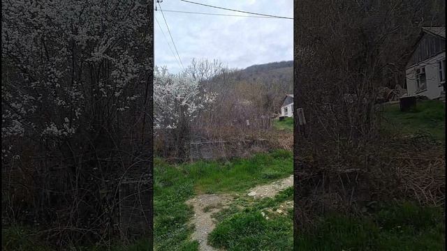 участок в Геленджике, СНТ Маяк 2 возле леса с потрясающим видом