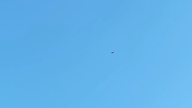 хотел забраковать но голубое одумался.