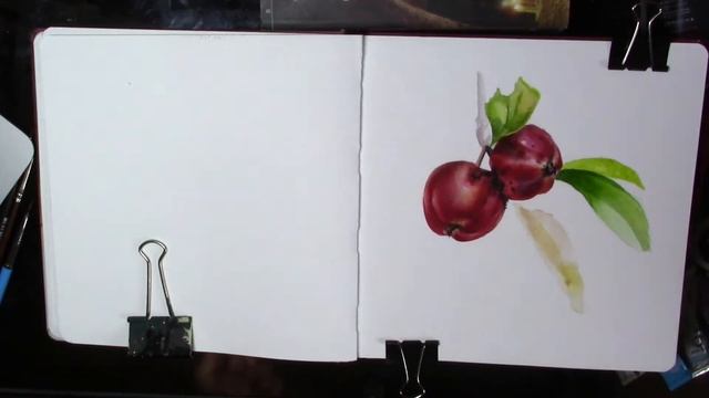 Video tutorial . Watercolor illustration of red apples on a branch.