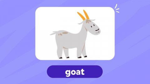 Exciting Animal Flashcards: Discover Animals Through Fun English Games for Kids!