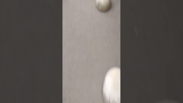 идём домой