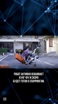 робот изучает кунг-фу