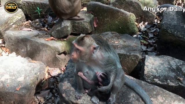 Babies play on the stone of Bayon temple.[Angkor Daily Part 58]