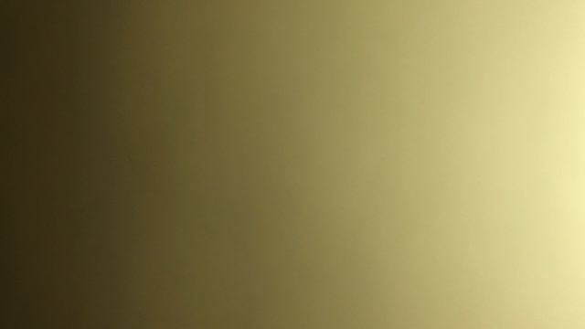 Час зачатья я помню не точно