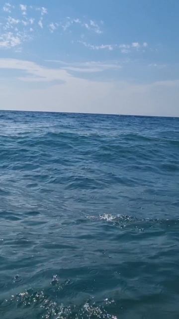 🚣♂️ На байдарке 💦 по морю🌊🐬 #море  #горы #природа #путешествия #приключения #отдыхвгорах #short