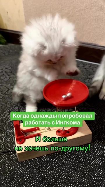 Когда однажды попробовал поработать с Ингкомой.. и больше не хочешь по-другому!