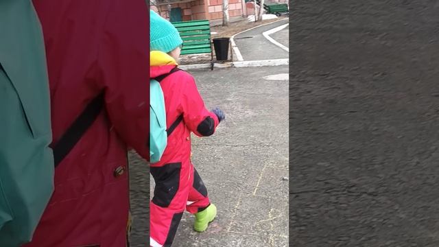паласа препятствий, вопросы уйдёт ли Веринда с канала?