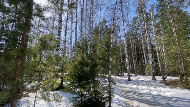 Последний снег