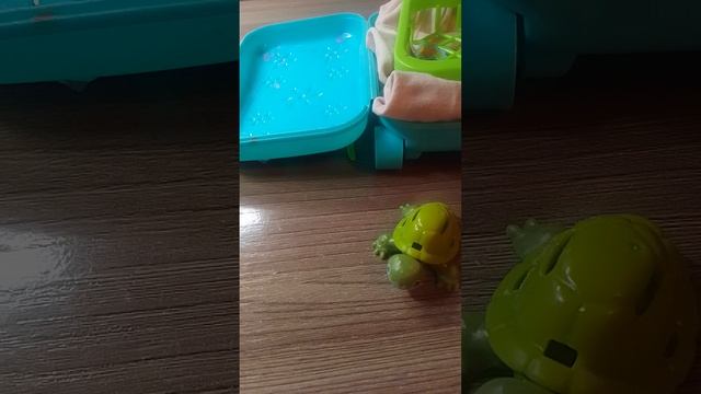 вечер с Орешком 
🐢