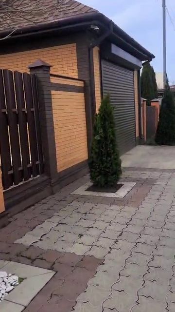 Туи Смарагд 2 метра