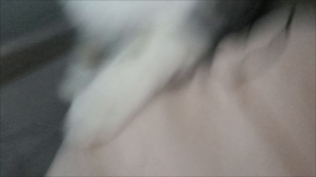 Милка заболела 😱😱😱??!! как мы лечили Милку 
Какие лекарства лучше использовать при болезни ??!!