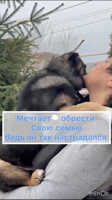 Харитоша - радость в ваш дом 🏡.mp4