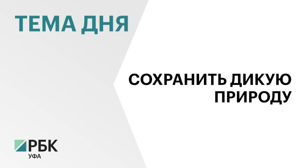 В Башкортостане браконьеры заплатили ₽5,1 млн штрафов в 2024 г.