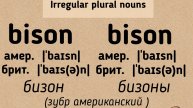 Irregular plural nouns👉bison/bison