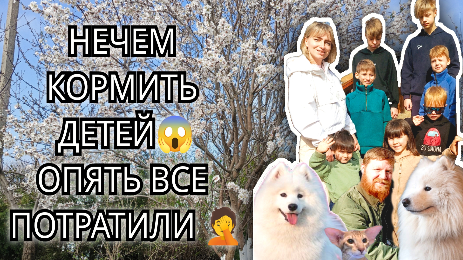 НЕЧЕМ КОРМИТЬ ДЕТЕЙ 😱Опять все потратили 😱У нас пополнение #многодетные #рецепты #дети #еда