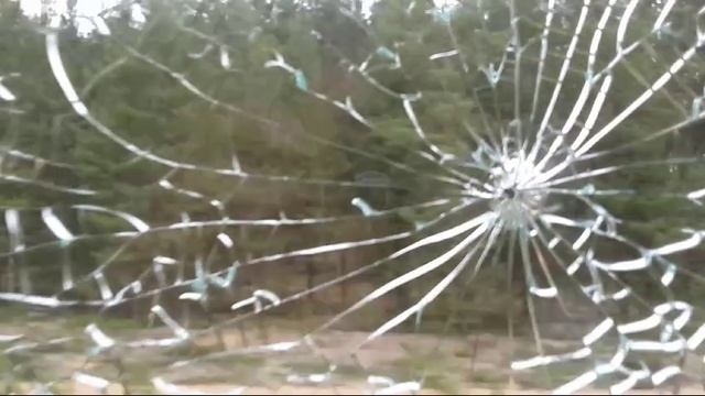 VID-20250401-WA0019