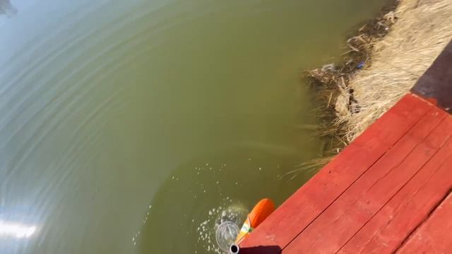 1000068184.mp4