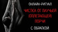 СНЯТЬ ПАУЧЬЮ (ОКОЛЬЦОВЫВАЮЩУЮ, ОПЛЕТАЮЩУЮ) ПОРЧУ.ОНЛАЙН-РИТУАЛ