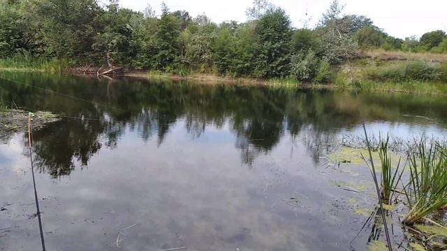 Рыбалка Сейм, граница. Йетти атакует