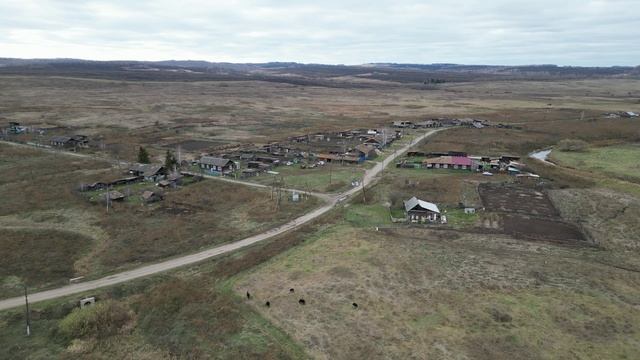 Деревня Толстомысово, Сухобузимский район, Красноярский край. Поставьте лайк этому видео поддержите