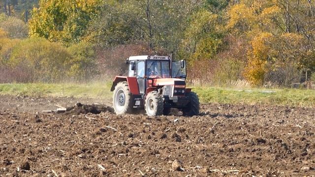 Zetor ZTS 16245 & Case IH Puma 210 || Priprava pody 2019
