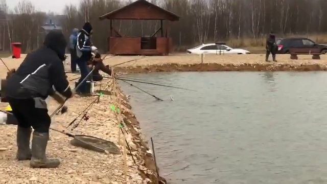 4 ноября 2023 г.