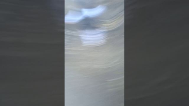 YouCut_20250402_191629546.mp4